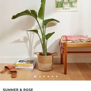 Summer & Rose Tan and Cream Woven Basket NWT